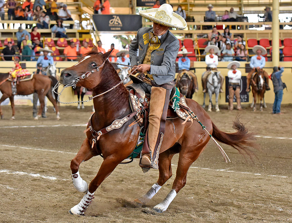 Antonio Díaz Paz logró cala de caballo de 38 unidades para All Horses "Máquina 501"