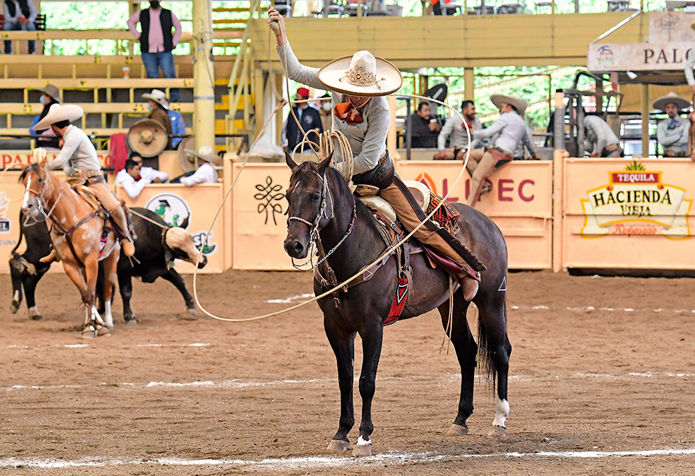 Cristóbal Vázquez sosteniendo este resorte cobijando la cabeza de su cabalgadura, durante la terna en el ruedo del Triángulo de los Arenas