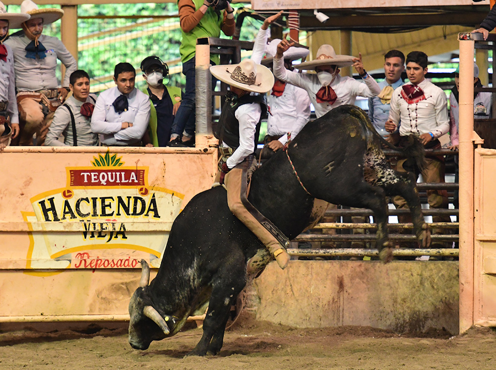 Extraordinaria jineteada de toro de 28 puntos que pegó José Luis Samperio para Rancho La Biznaga